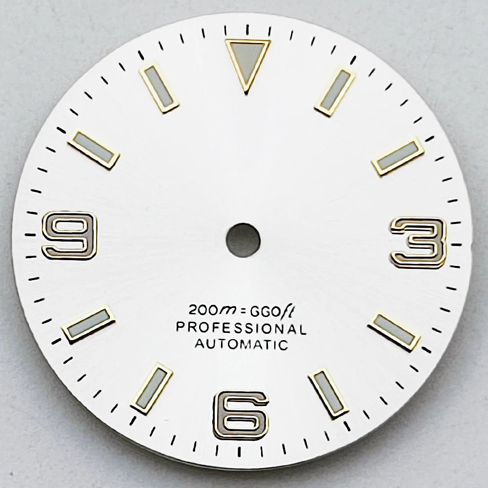 Dial RICHUS 29 mm Luminiscente para NH35