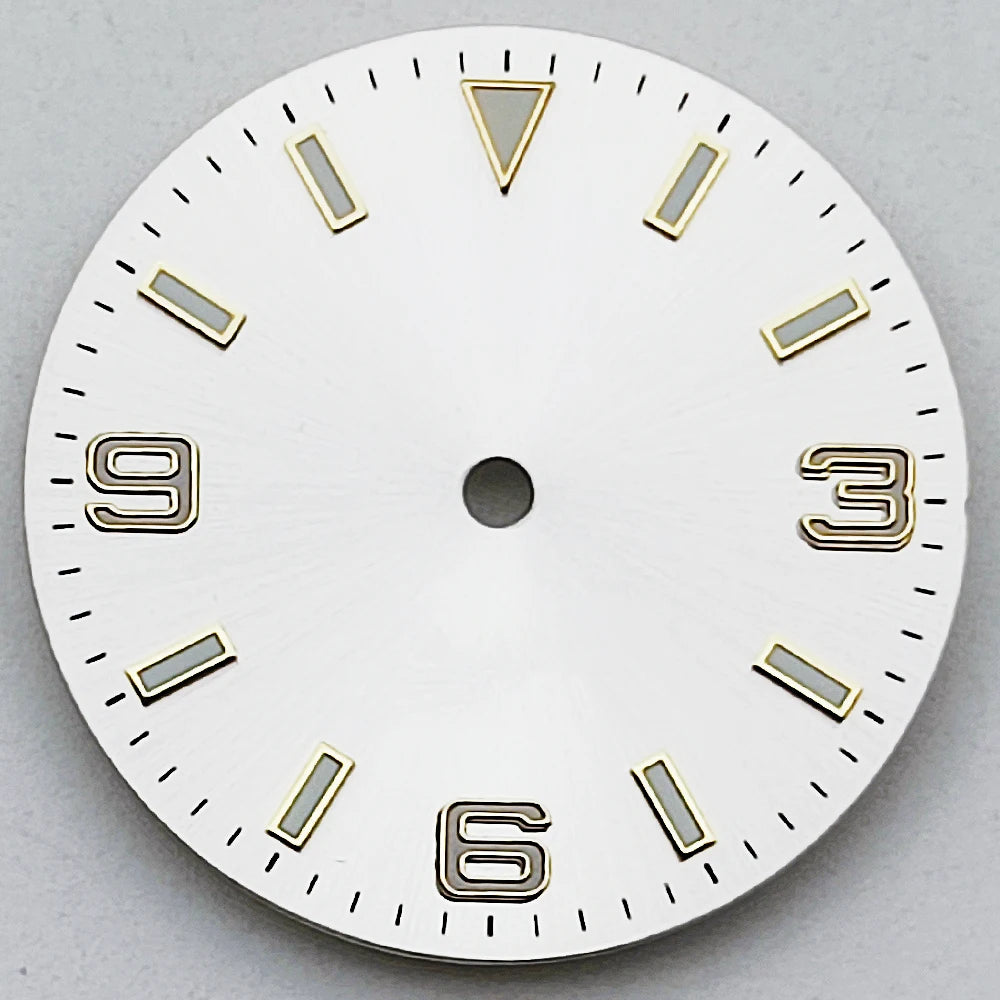 Dial RICHUS 29 mm Luminiscente para NH35